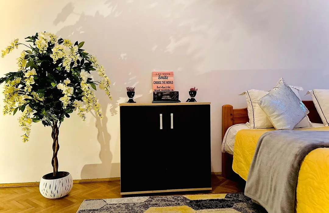 Stay Inn Central Brasov-1